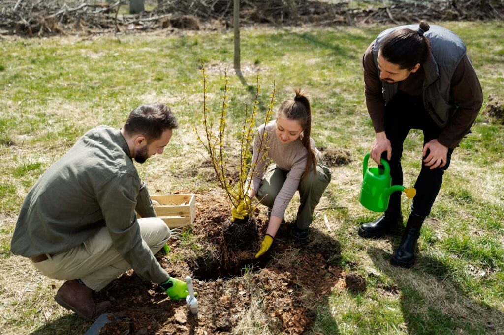 Group of people planting trees as part of reforestation process